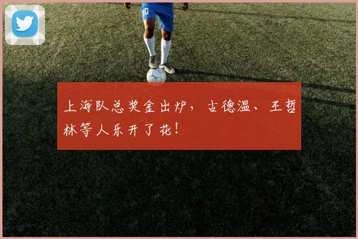 上海队总奖金出炉,古德温、王哲林等人乐开了花!