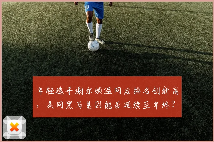 年轻选手谢尔顿温网后排名创新高，美网黑马基因能否延续至年终？